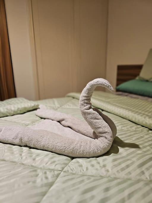 Cozy Private Gf In Degla Maadi *