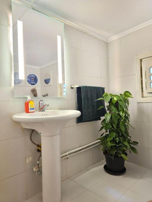 Cozy Private Gf In Degla Maadi Apartment