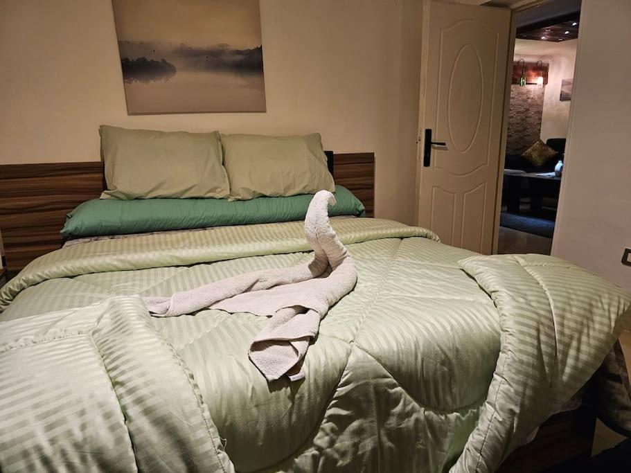 Cozy Private Gf In Degla Maadi Cairo