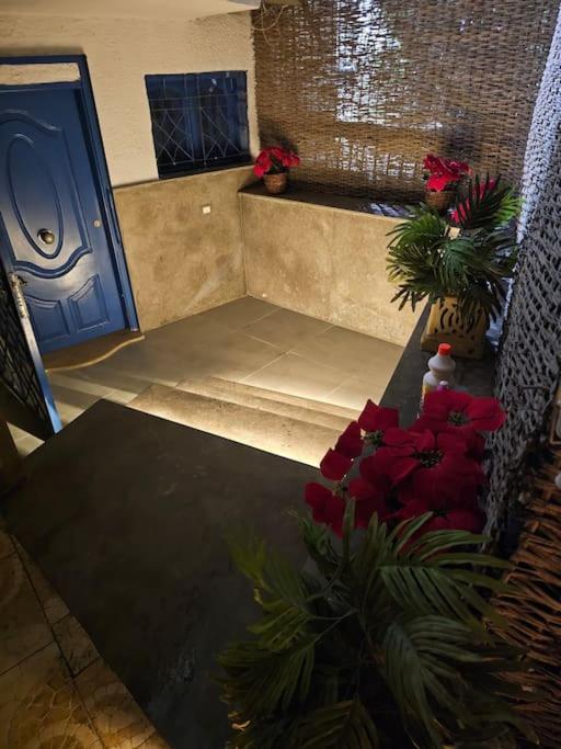 Cozy Private Gf In Degla Maadi * Cairo