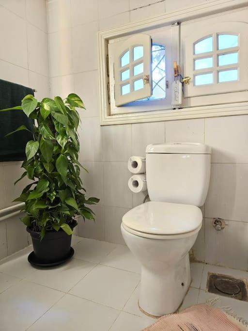 Cozy Private Gf In Degla Maadi Cairo