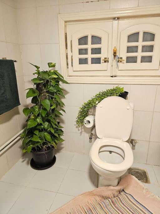 Cozy Private Gf In Degla Maadi Apartment Cairo