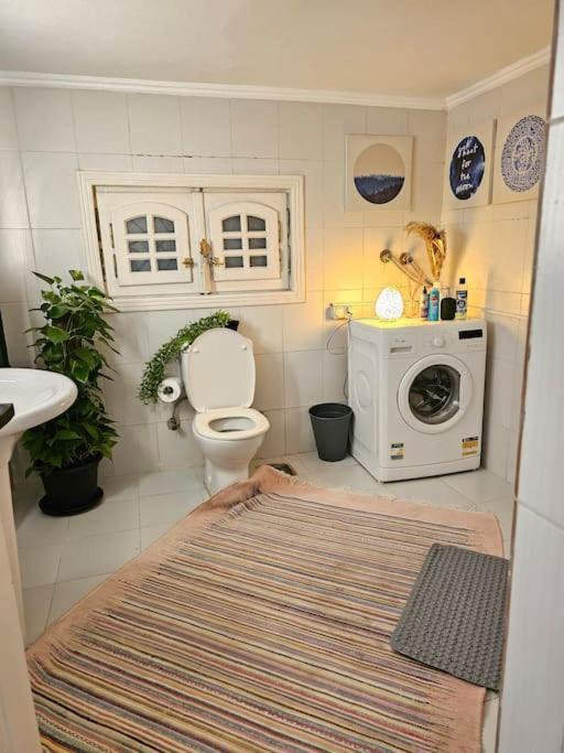 Cozy Private Gf In Degla Maadi Apartment