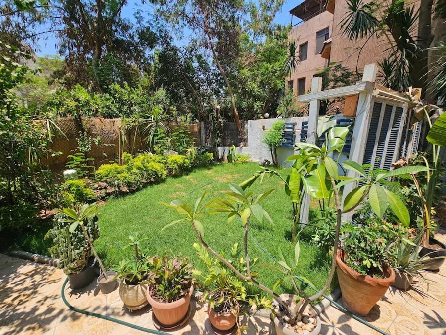 Cozy Private Gf In Degla Maadi * Cairo