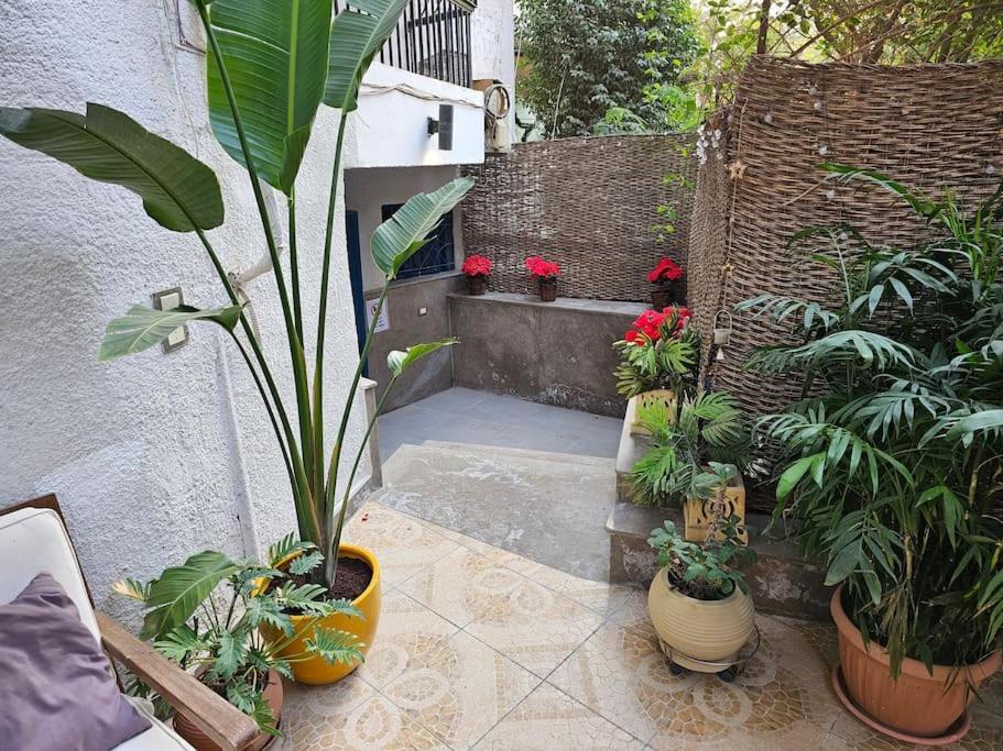 Apartment Cozy Private Gf In Degla Maadi *